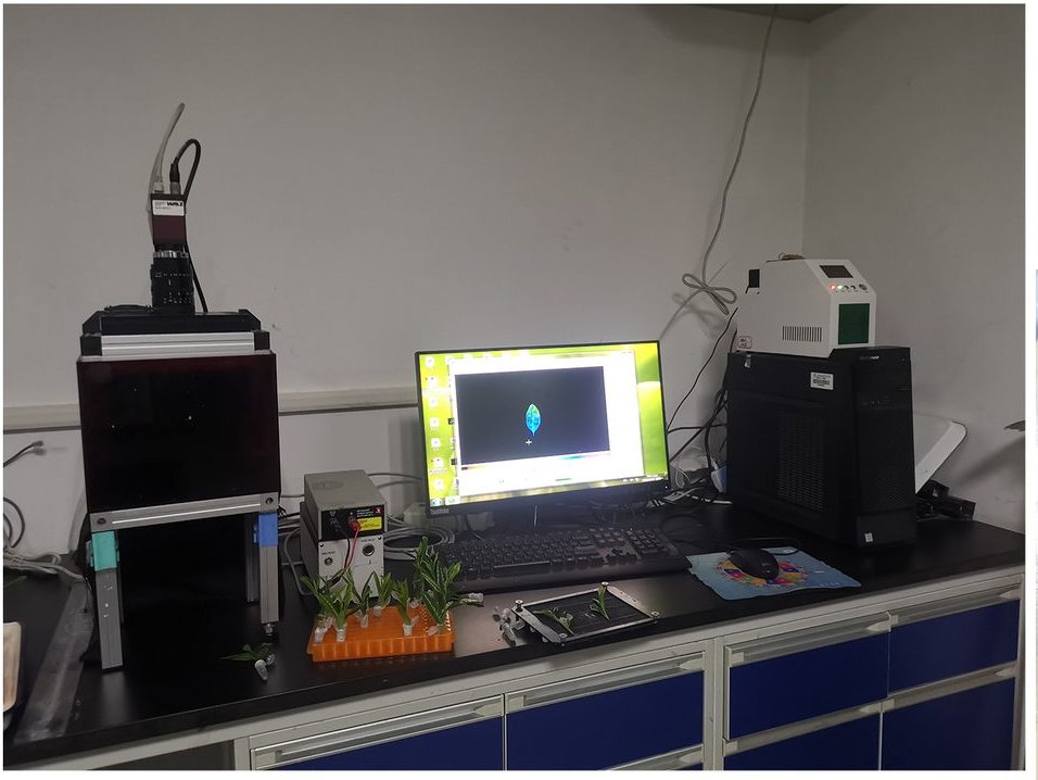 Cultivation Physiology and Breeding Platform
