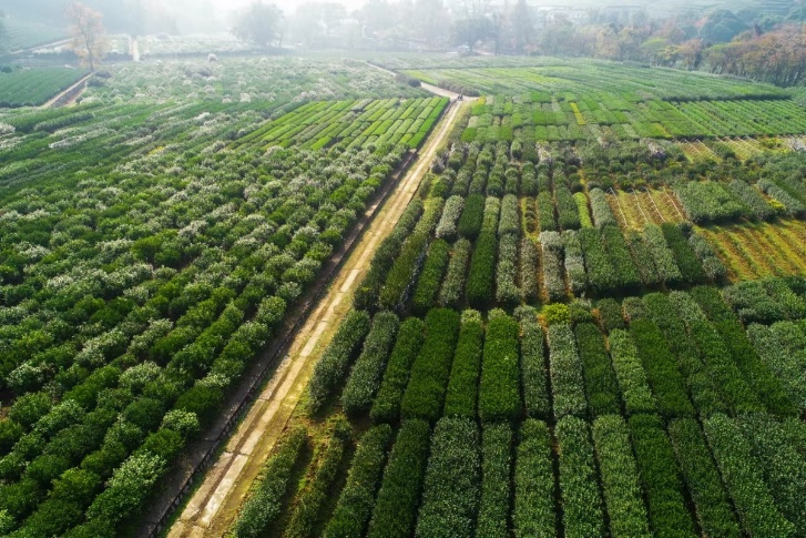 Germplasm resources
